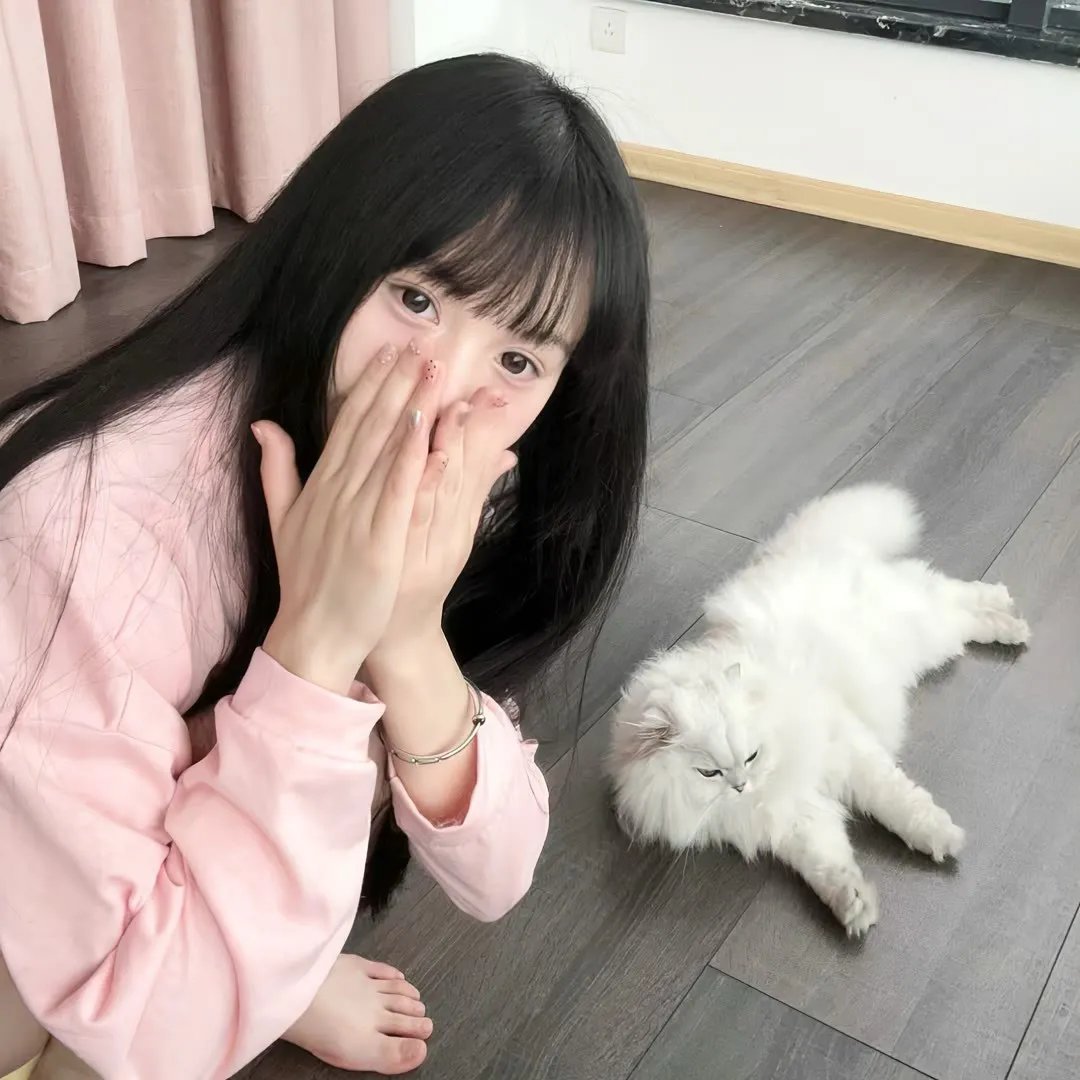 好梦一日游